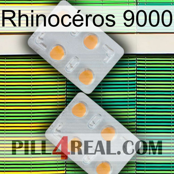 Rhinocéros 9000 25